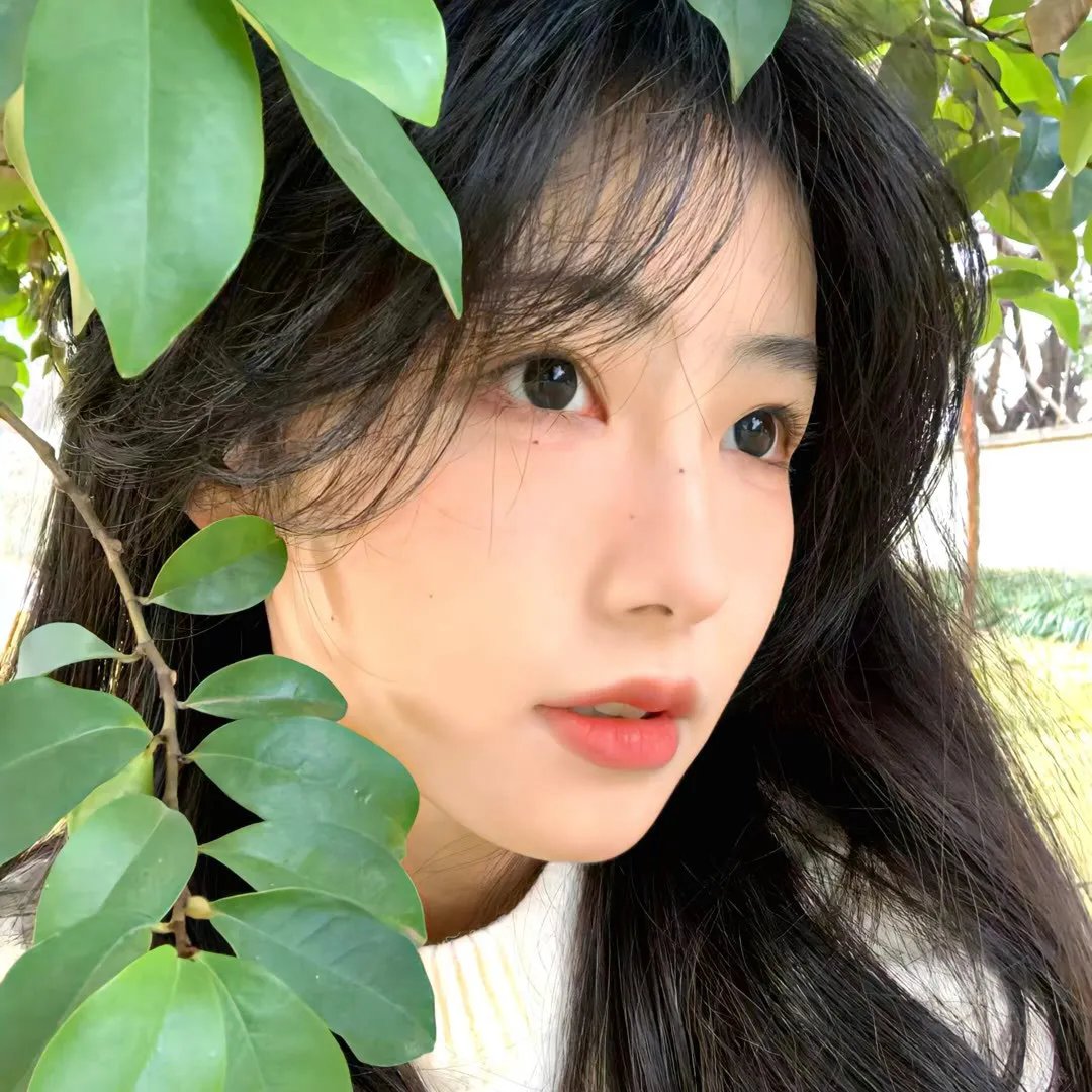 校园合唱团的秘密
